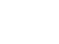 SARK Global Inc